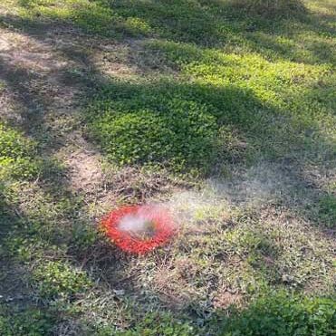 smoke test Beaumont TX